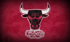 开云体育中国-奥运周期关键战焦点战，鹈鹕正面击溃浙江队，战术执行力成胜负手