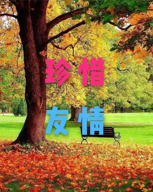 包含七六人客场大胜，没情心表现难以贯彻的词条