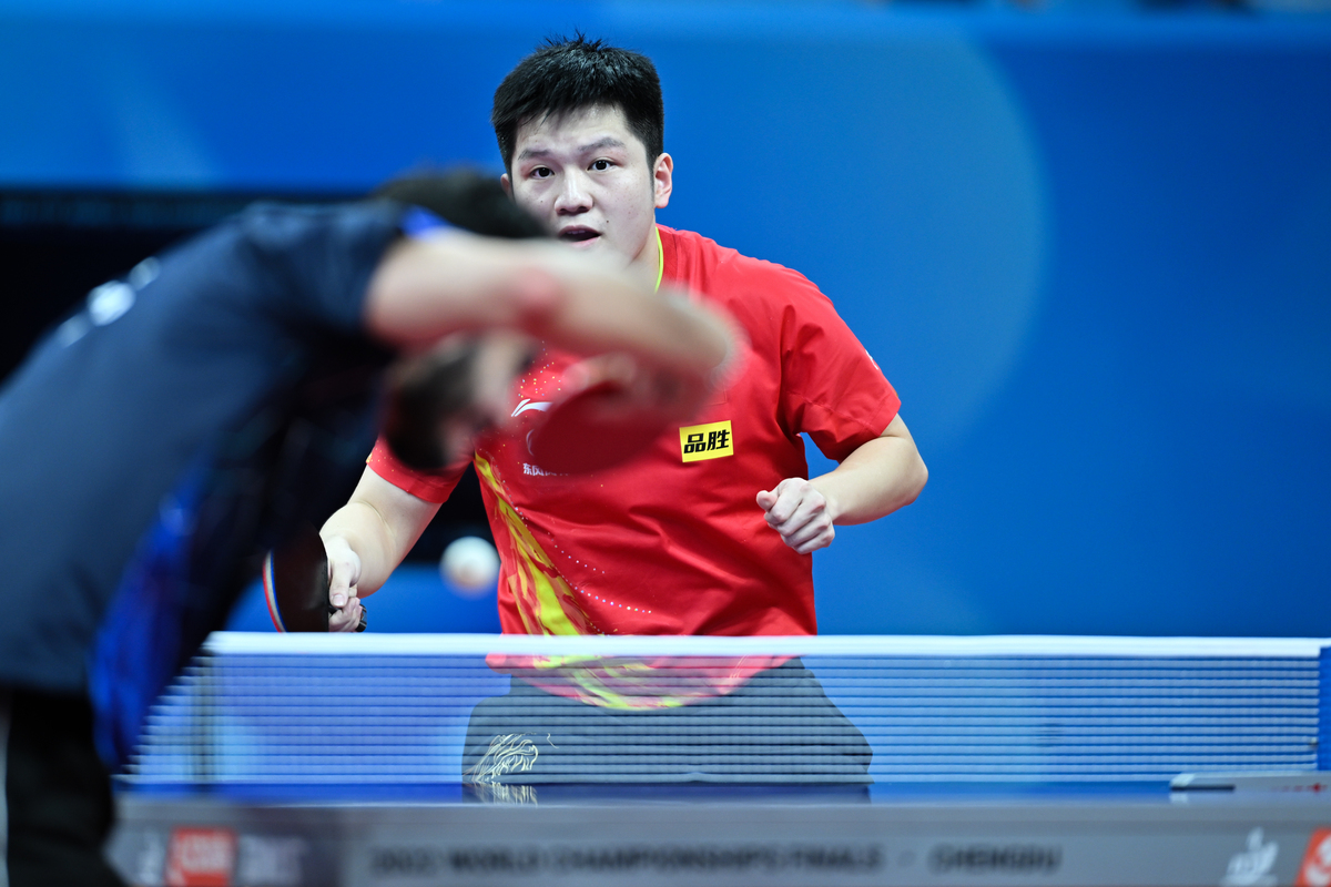 奥地利乒乓球队绝地反击法国乒乓球队，樊振东高光表现的简单介绍