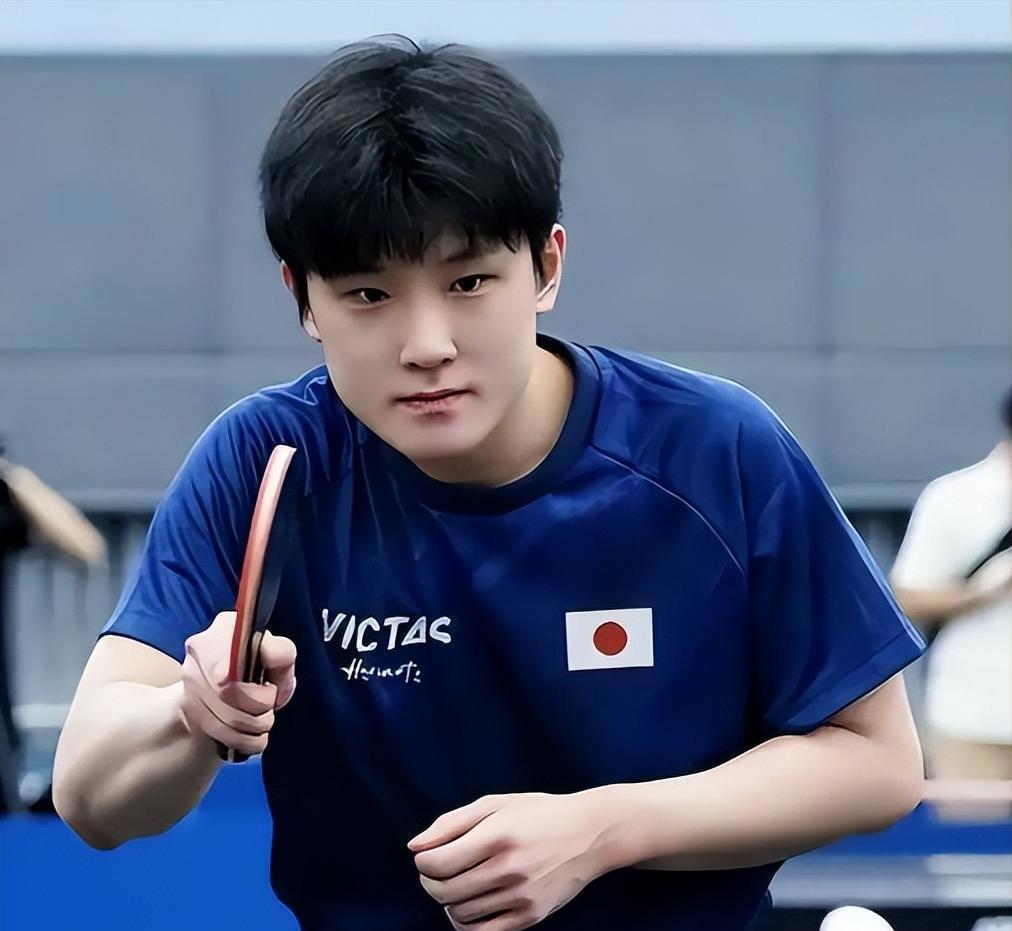 韩国队鏖战瑞典队，张本智和刷新纪录的简单介绍