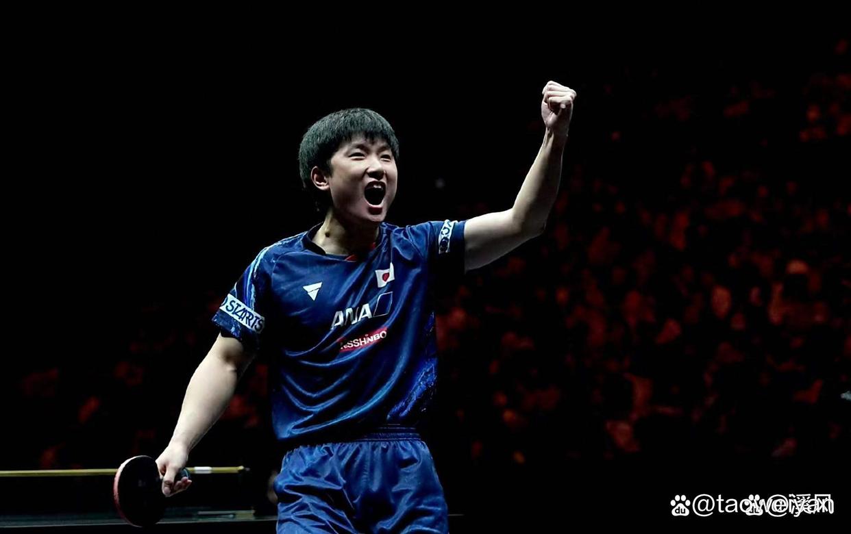 日本队险胜波兰队,张本智和关键制胜的简单介绍 日本队险胜波兰队,张本智和关键制胜的简单介绍