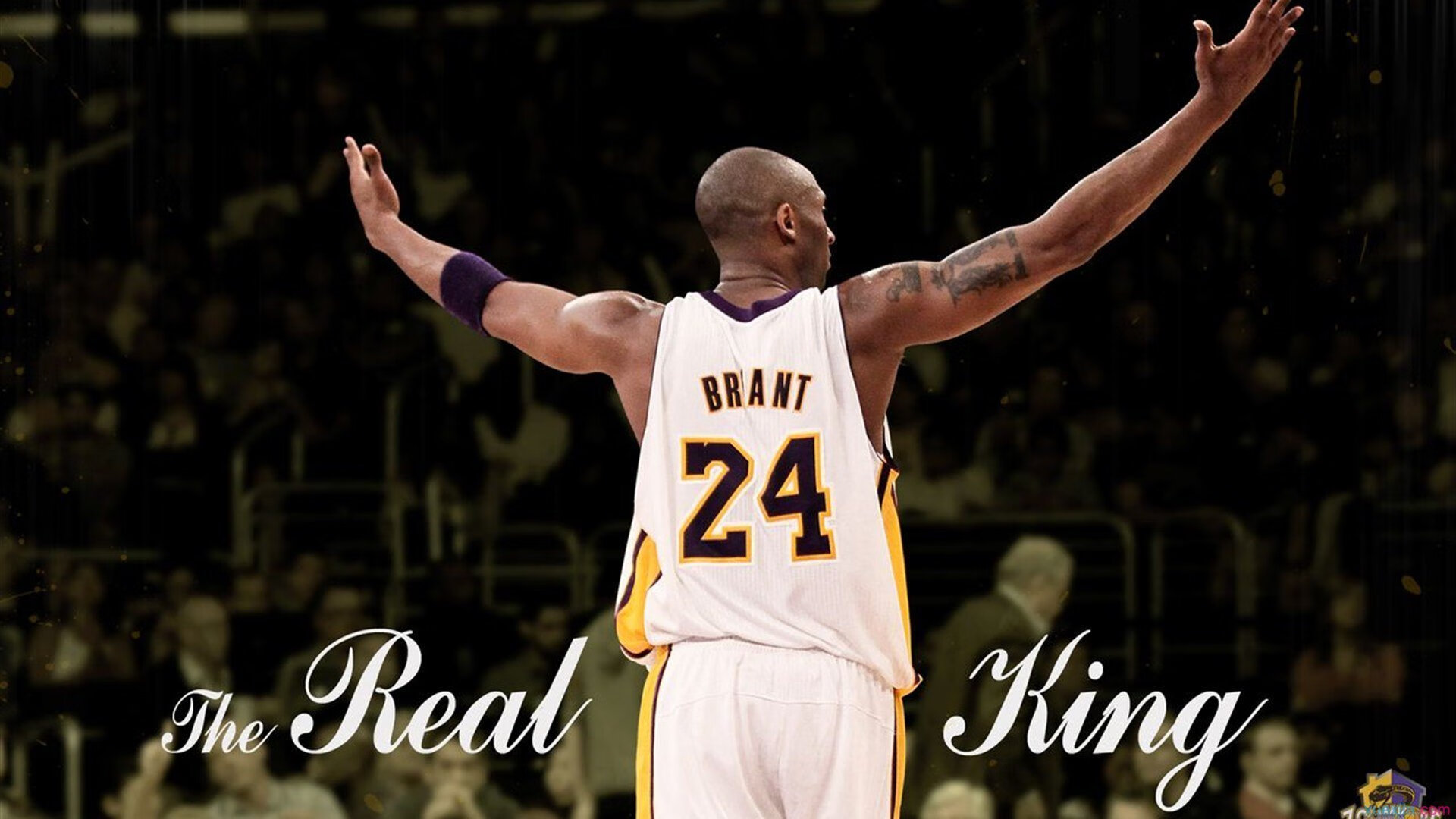 澳网鏖战联合杯，德约科维奇惊艳四座